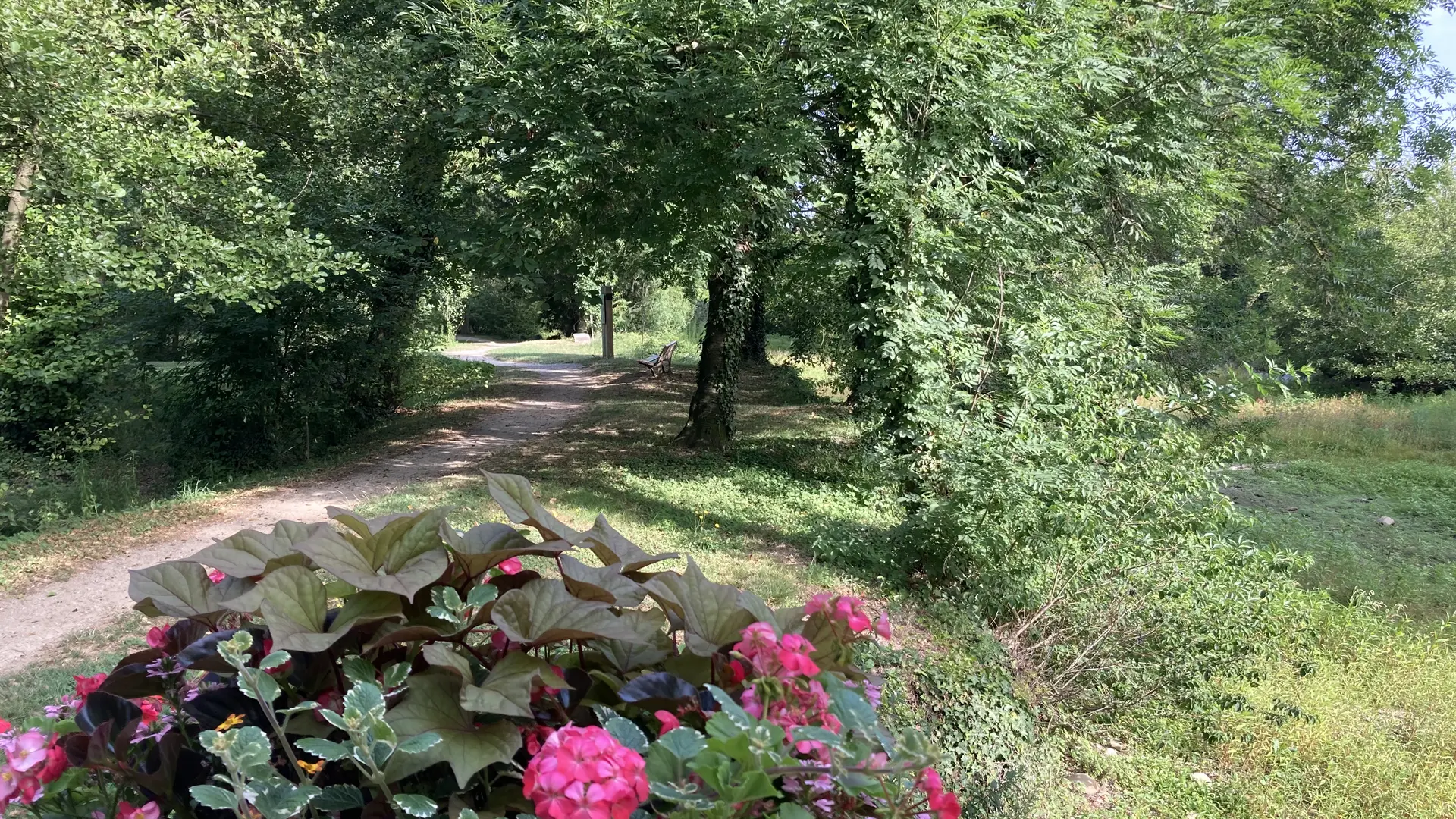 chemin Parc des sources à Manthes