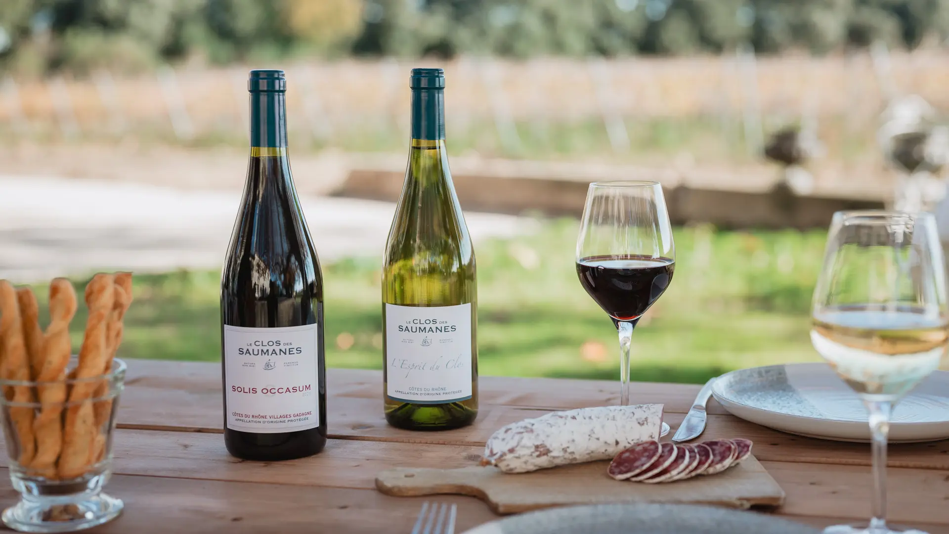 Table dans les vignes avec du vin et apéritif