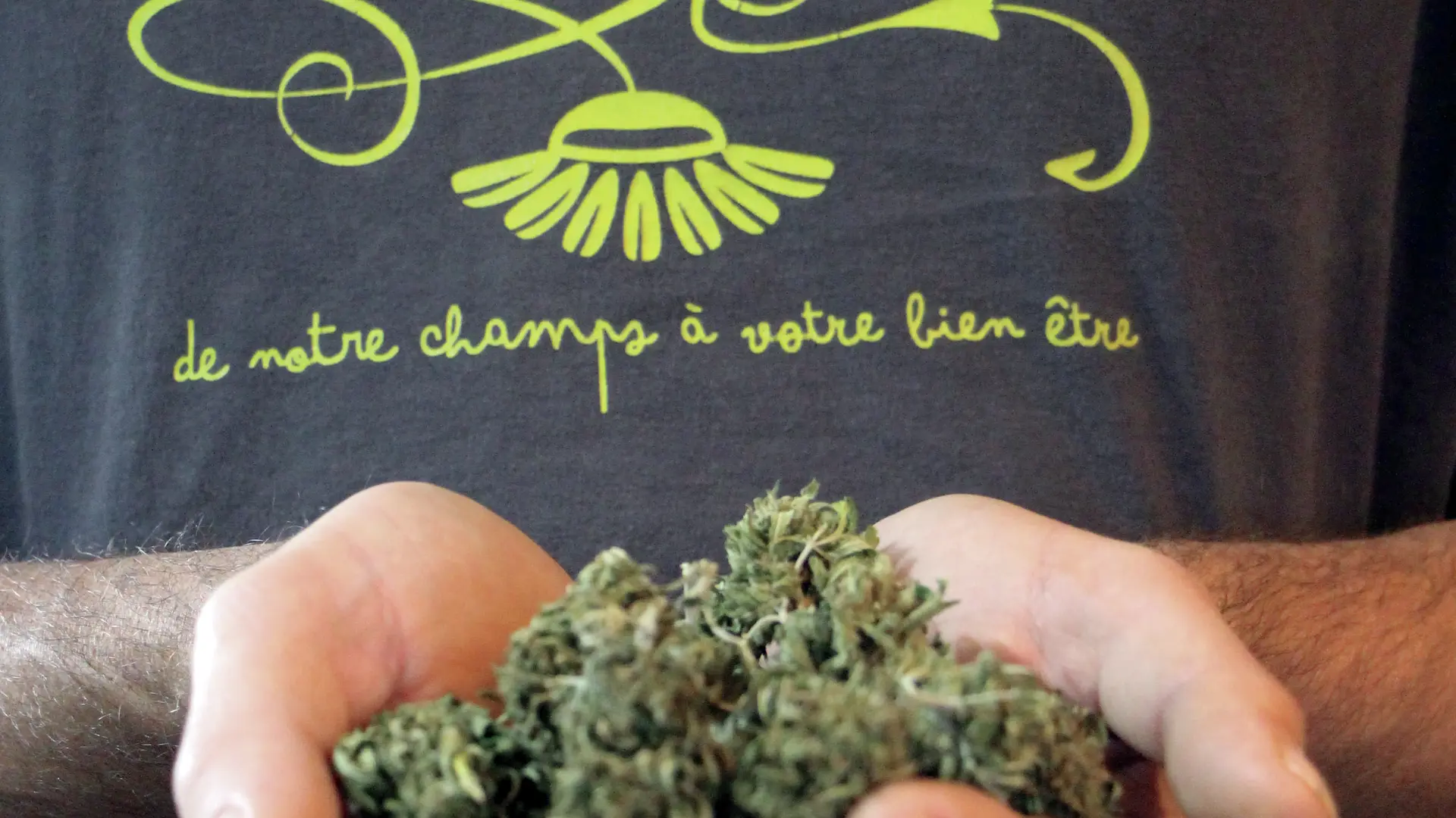 Eric logo CDR ++ flou weed