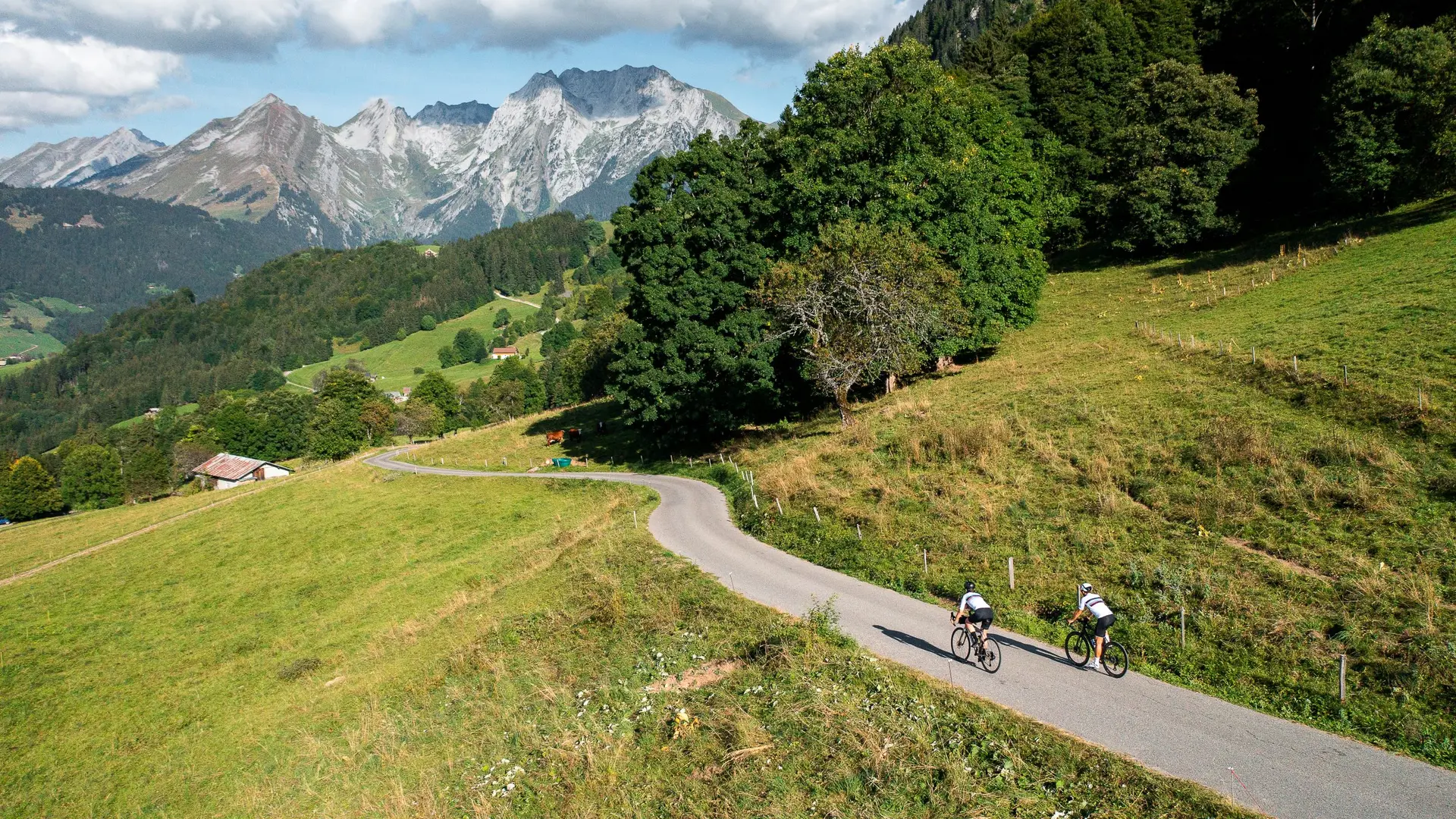 Cyclistes et paysage