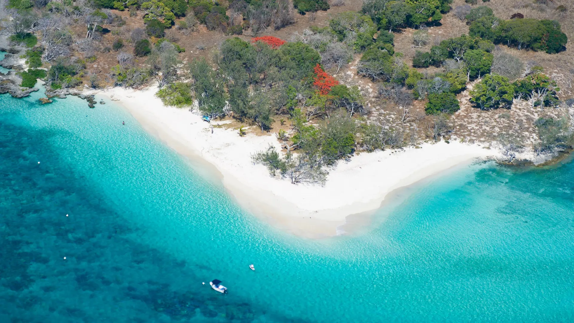 L'île Verte