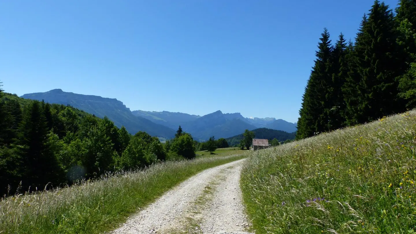 Chemin de randonnée