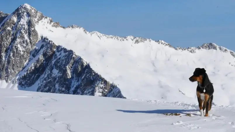 refuge du pinet en hiver