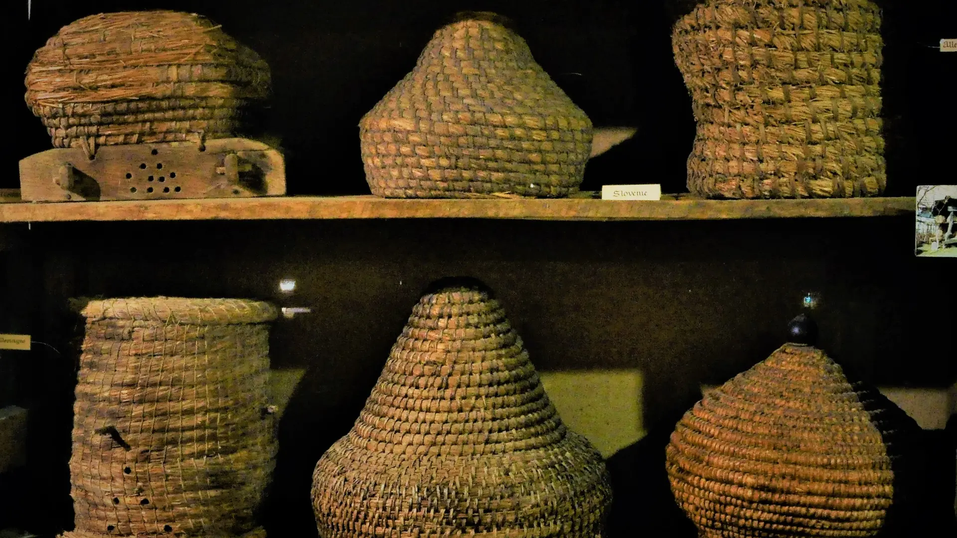 Ruche du monde comps