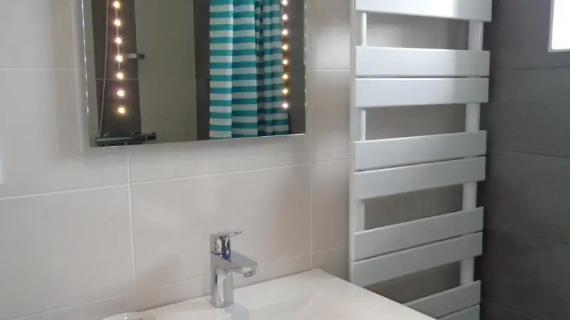 Salle d'eau : vasque - douche et WC.