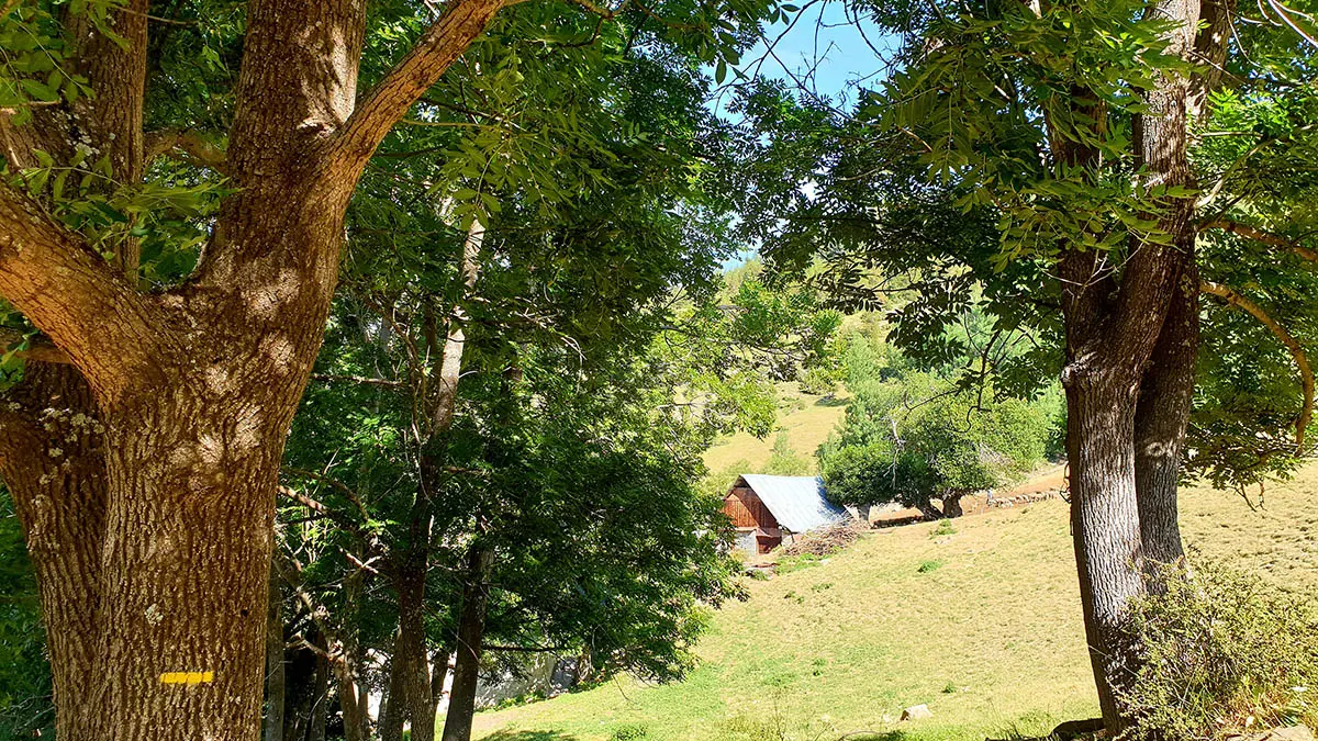 Randonnée de Montgros dans le Val d'Allos