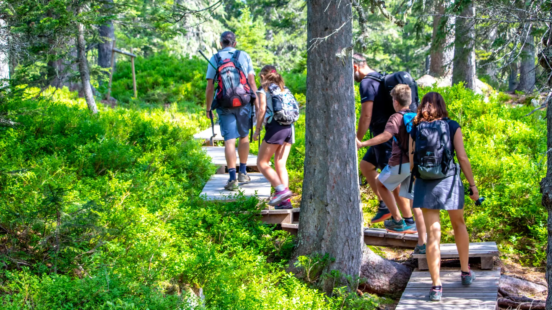 Visite guidée du sentier des Arpenières