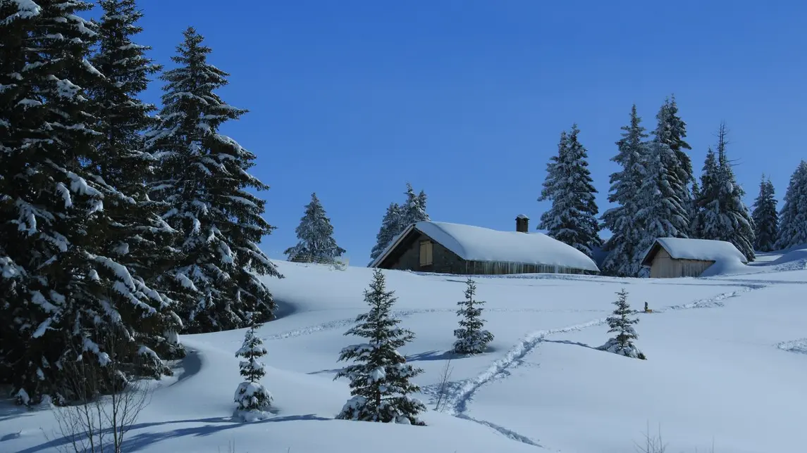 Alpages enneigés au col des Aravis