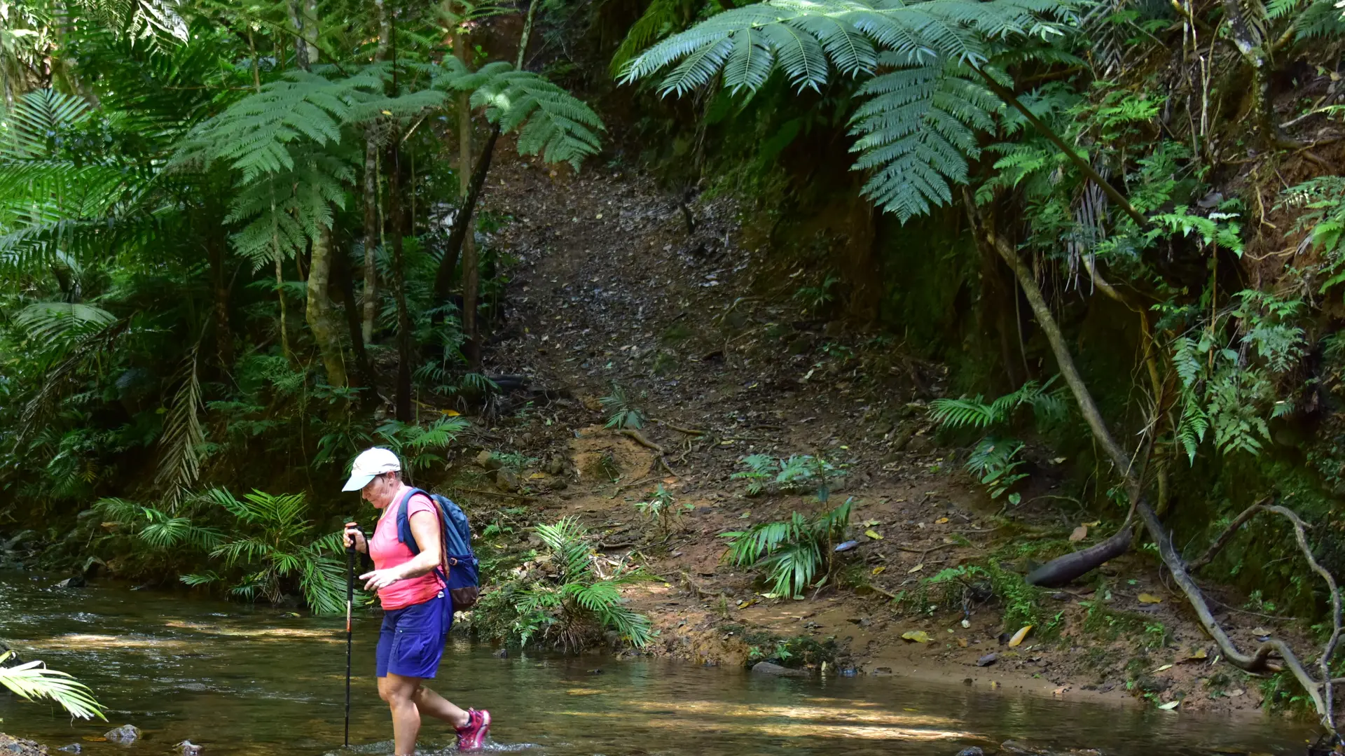 Le creek du camp Tell