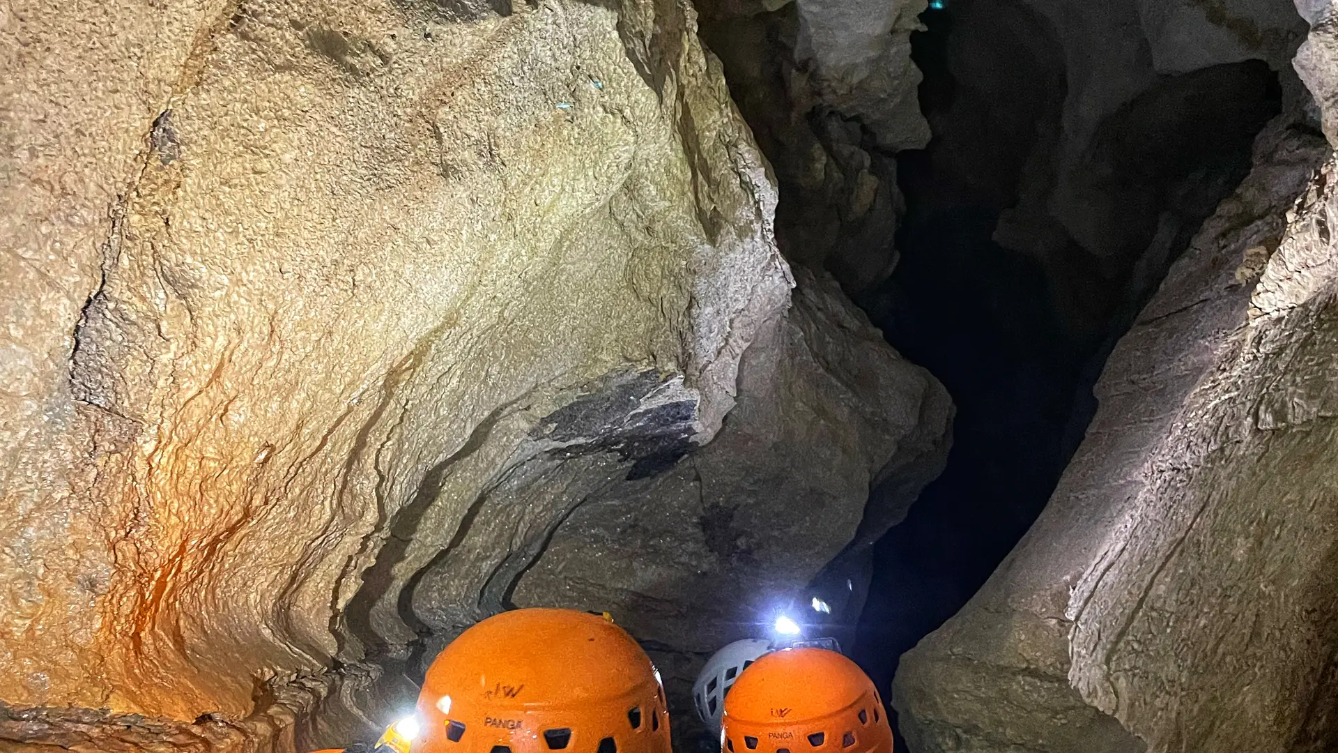 Une sortie découverte adaptée à tous !