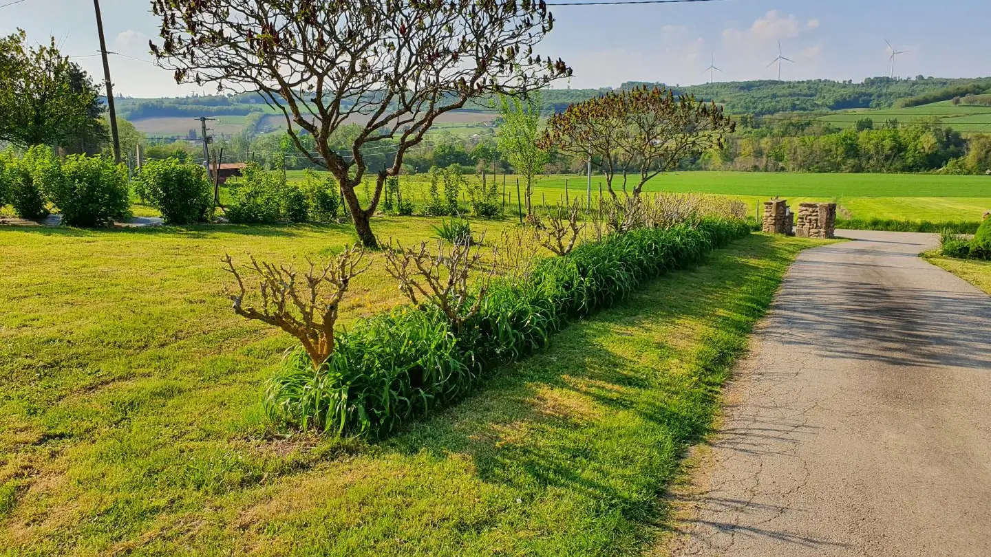 Allée privative qui mène au gîte.