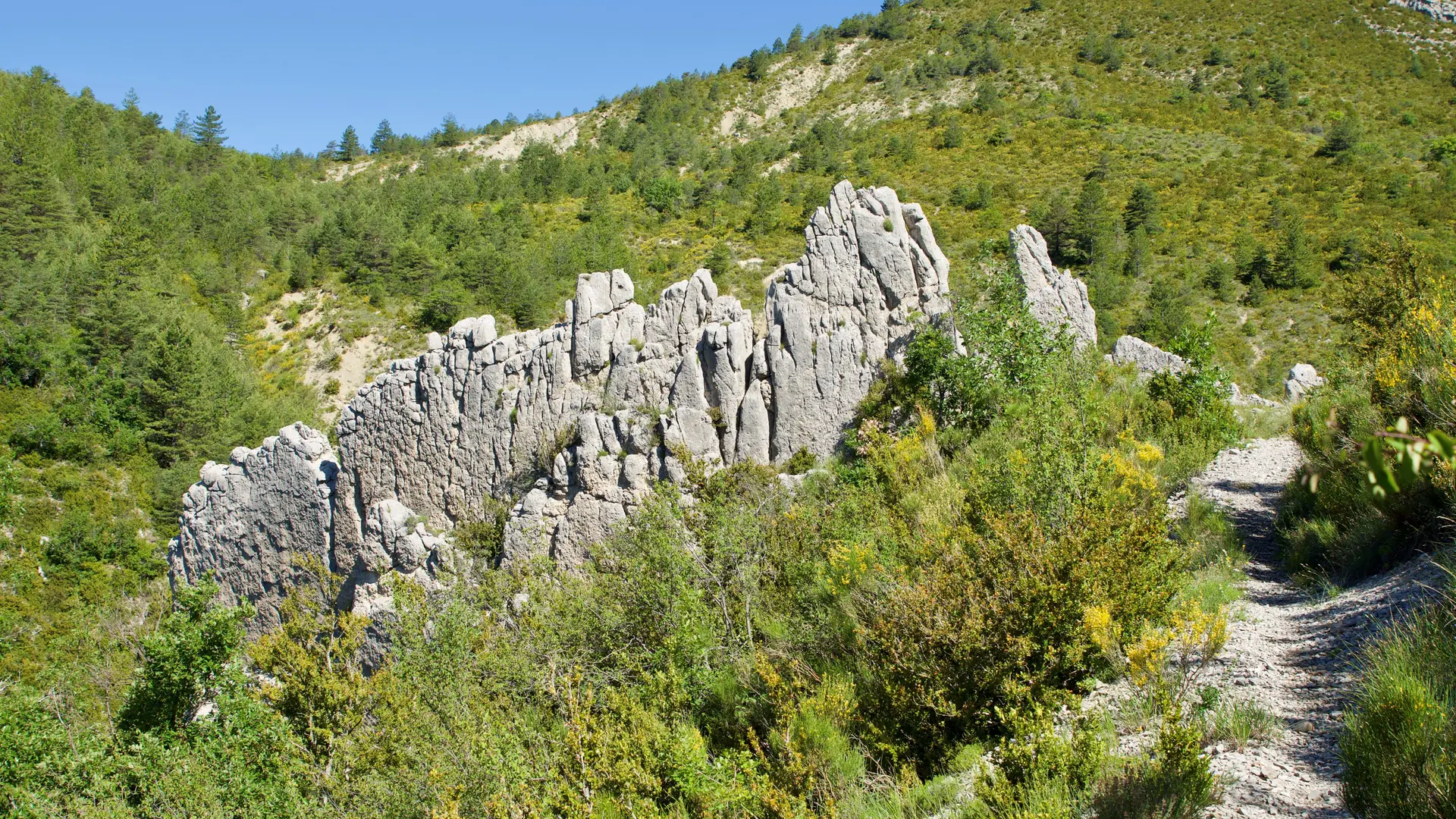 Balade de Pied Marcellin