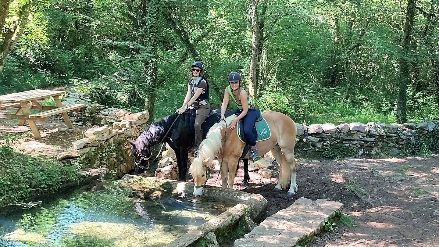 Domaine équestre des Bastides