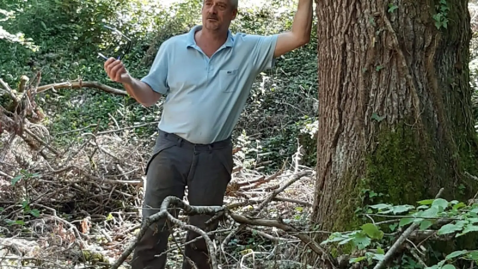 Je me ferai un plaisir de vous expliquer les secrets de ma forêt.