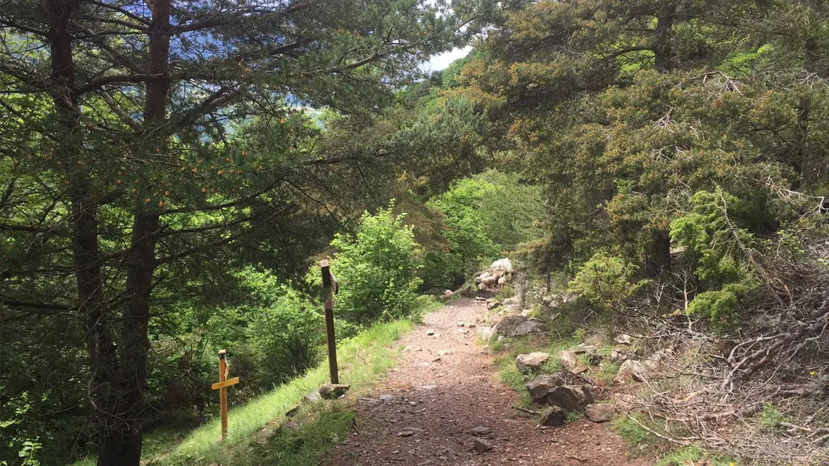 Itinéraire de randonnée jusqu'aux Sambucs, vallée du Valgaudemar