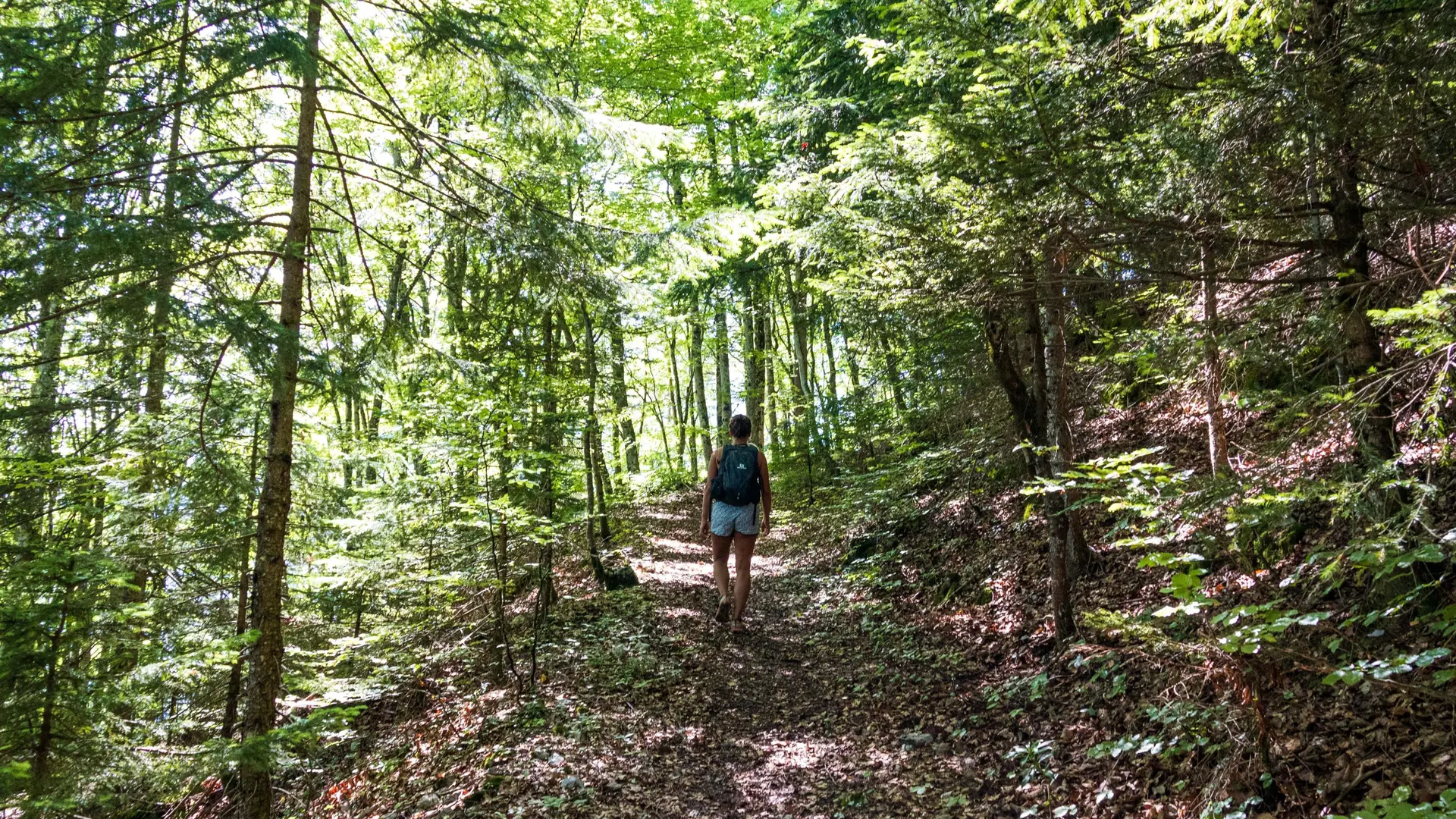 sentier