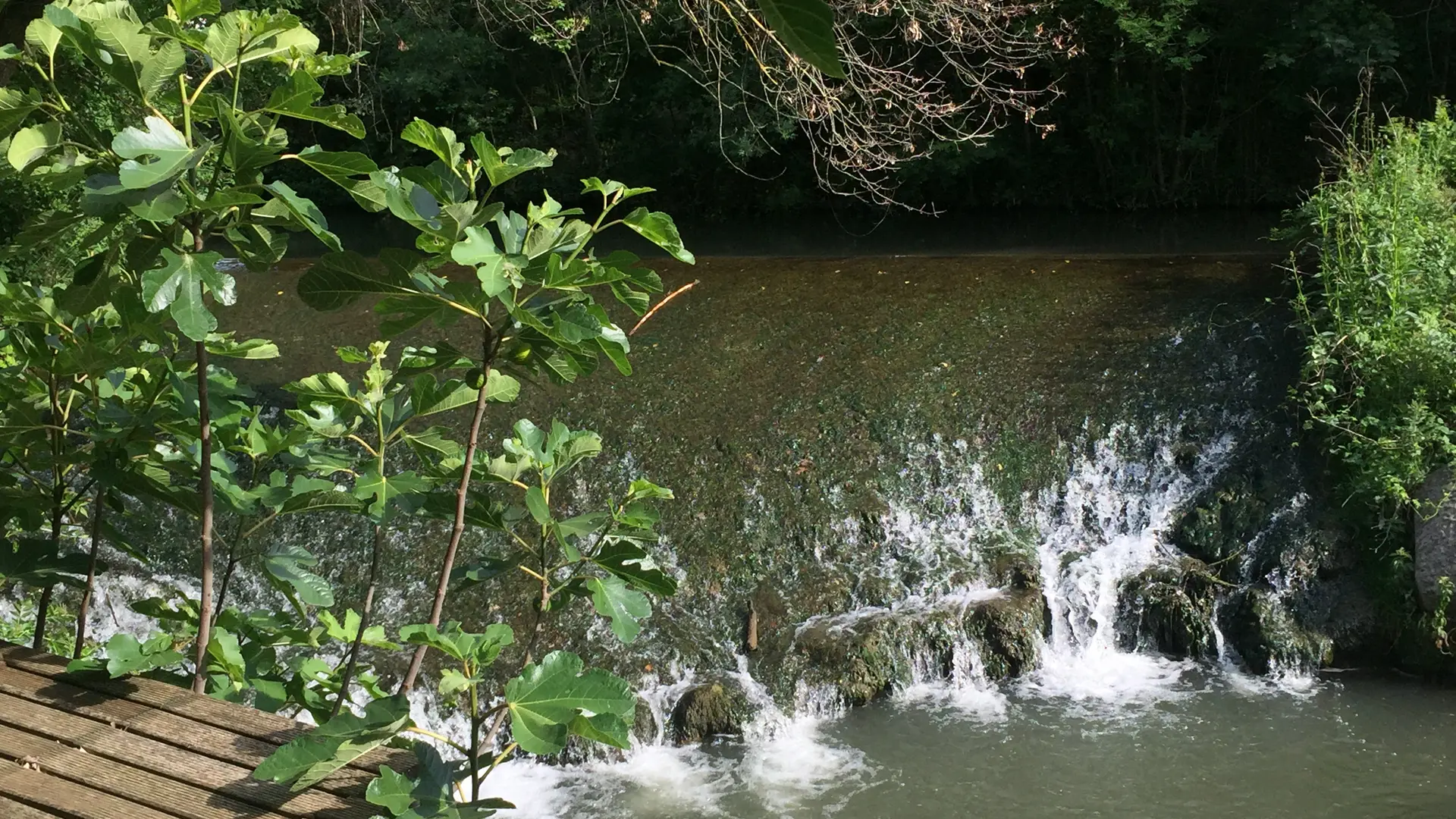 La Touloubre passe au pied du jardin