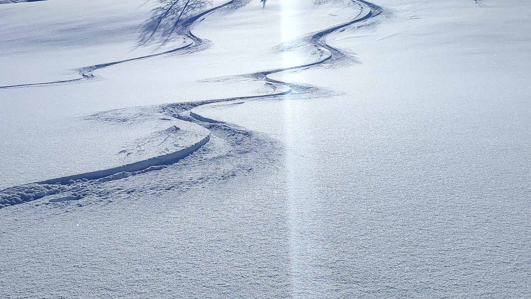 Activité ski hors-piste