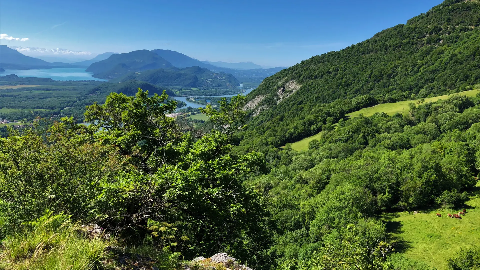 Le Grand Colombier depuis le circuit des Sarrasins