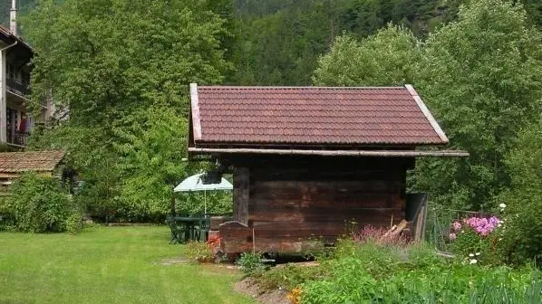 le jardin