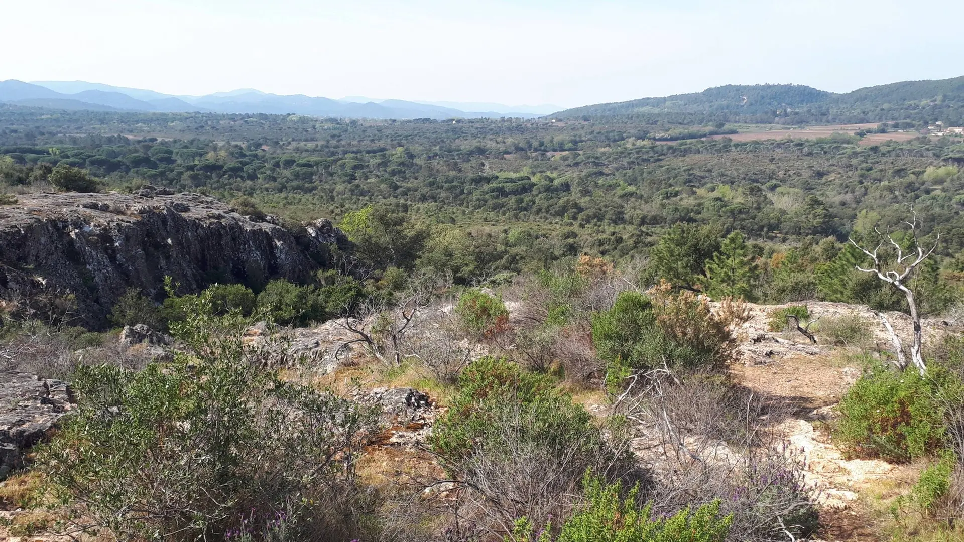 Point de vue sur le vallon et sa végétation méditerranéenne