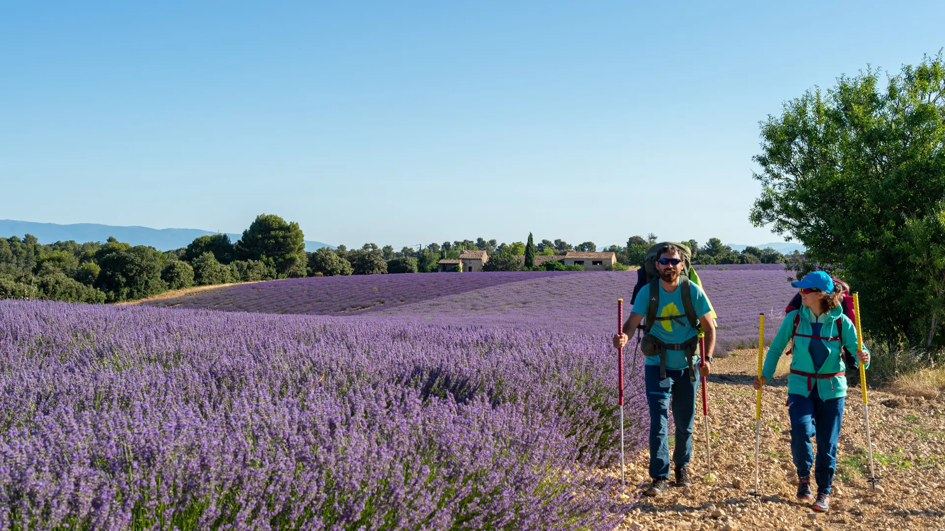 GR®4 - La Haute-Provence par les Gorges du Verdon