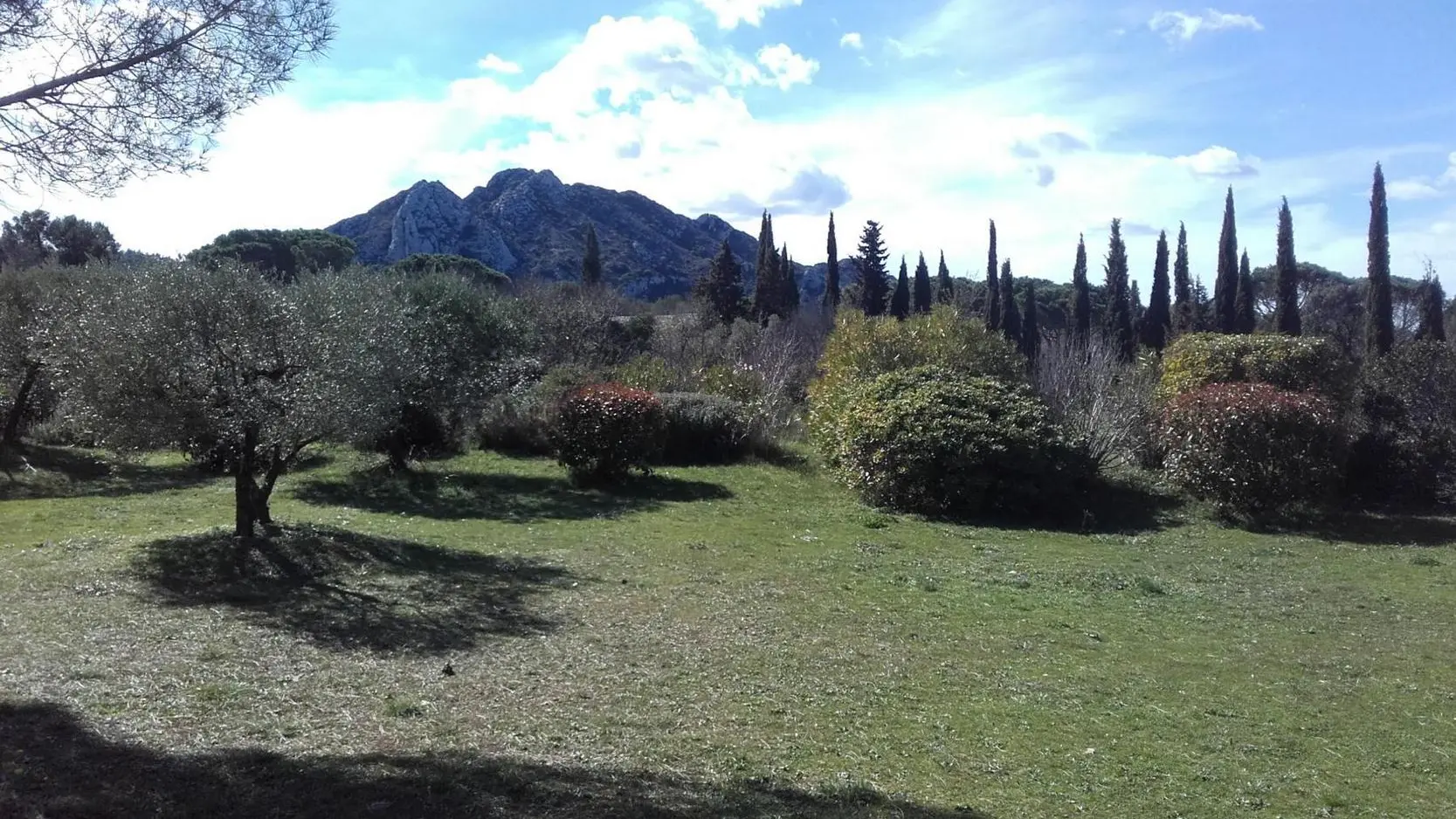 Vue imprenable sur les Alpilles