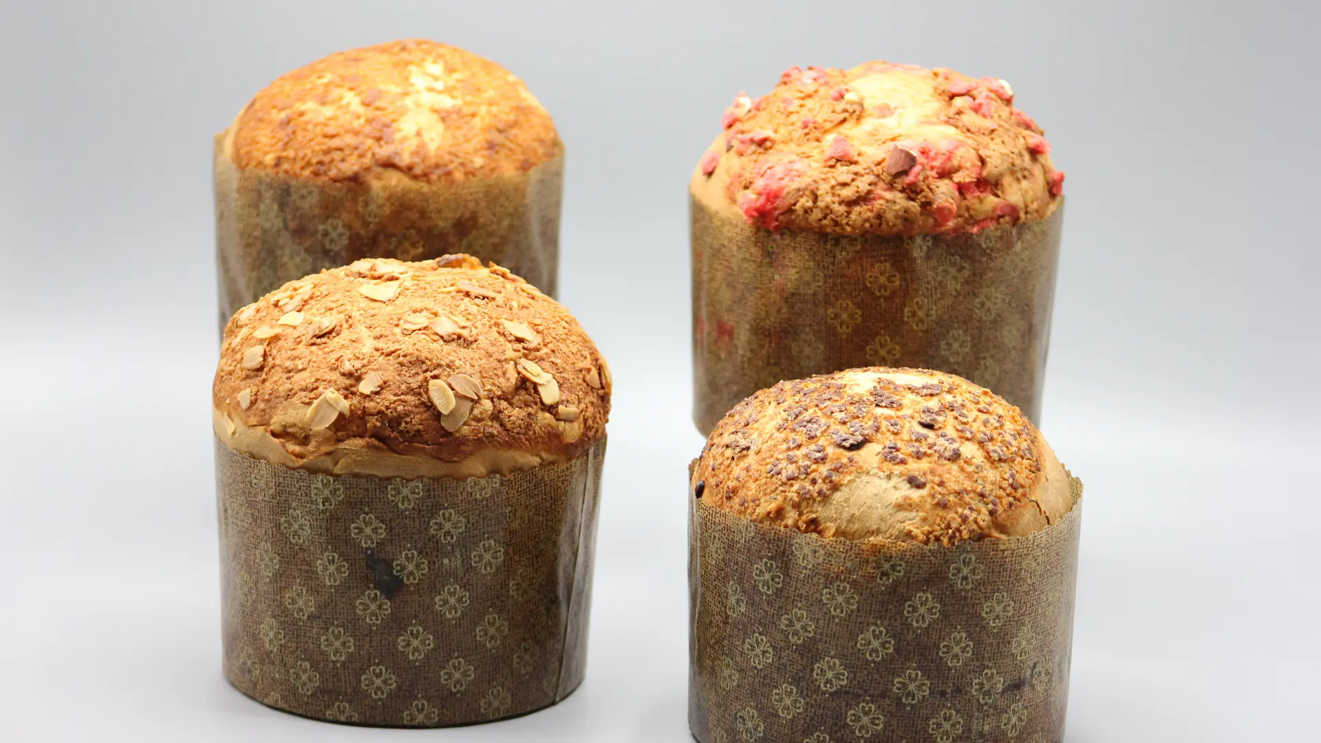 Panettones
