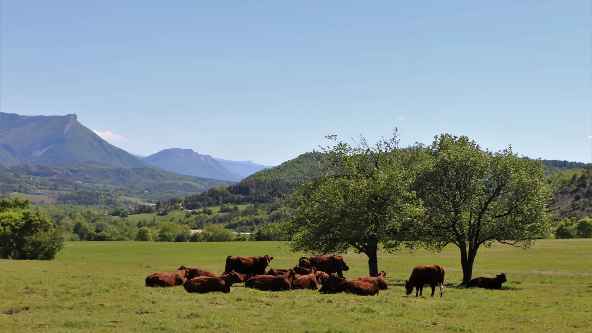 Le col de Cuberselle depuis Veynes