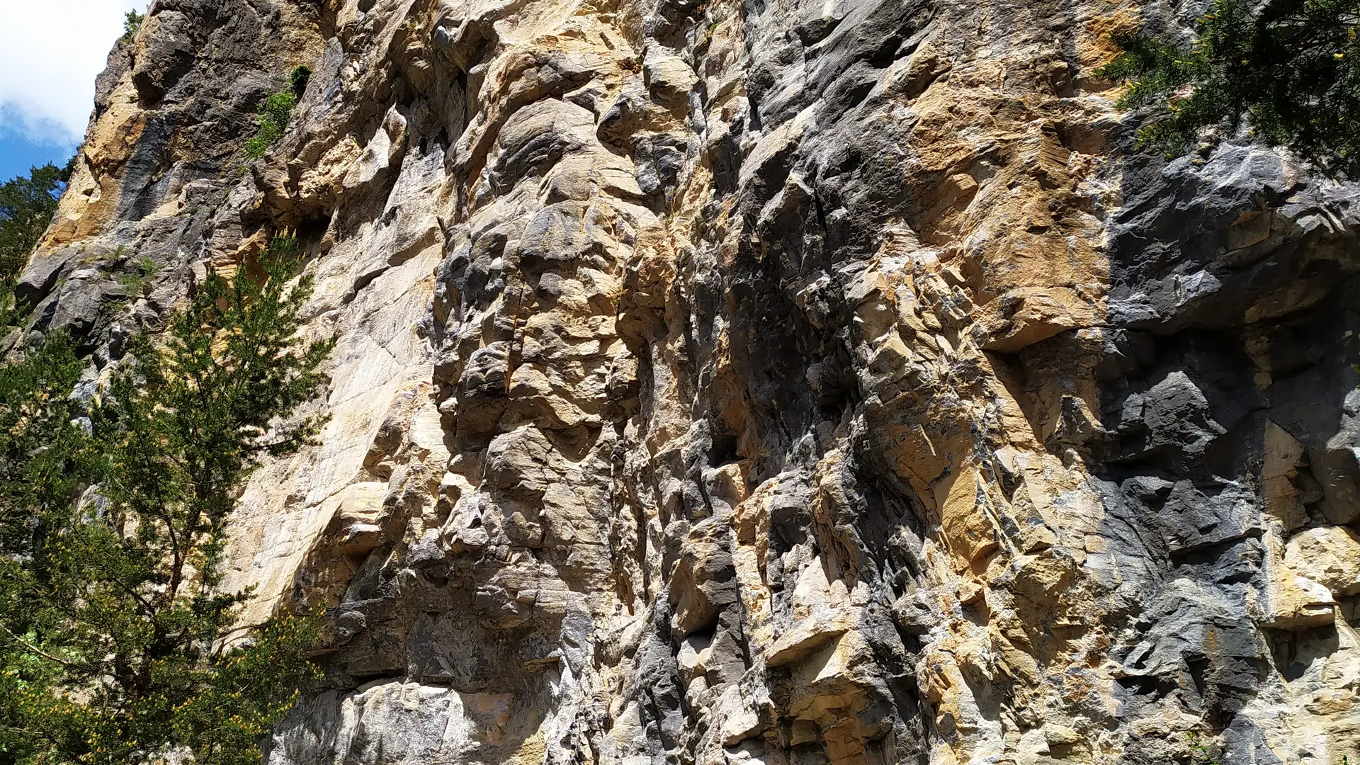 Escalade famille voie facile