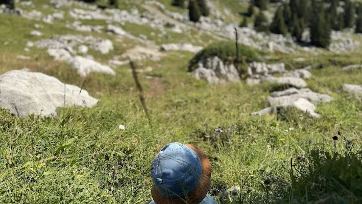 Randonnée pédestre : La Petite Sambuy via la piste forestière_Faverges-Seythenex