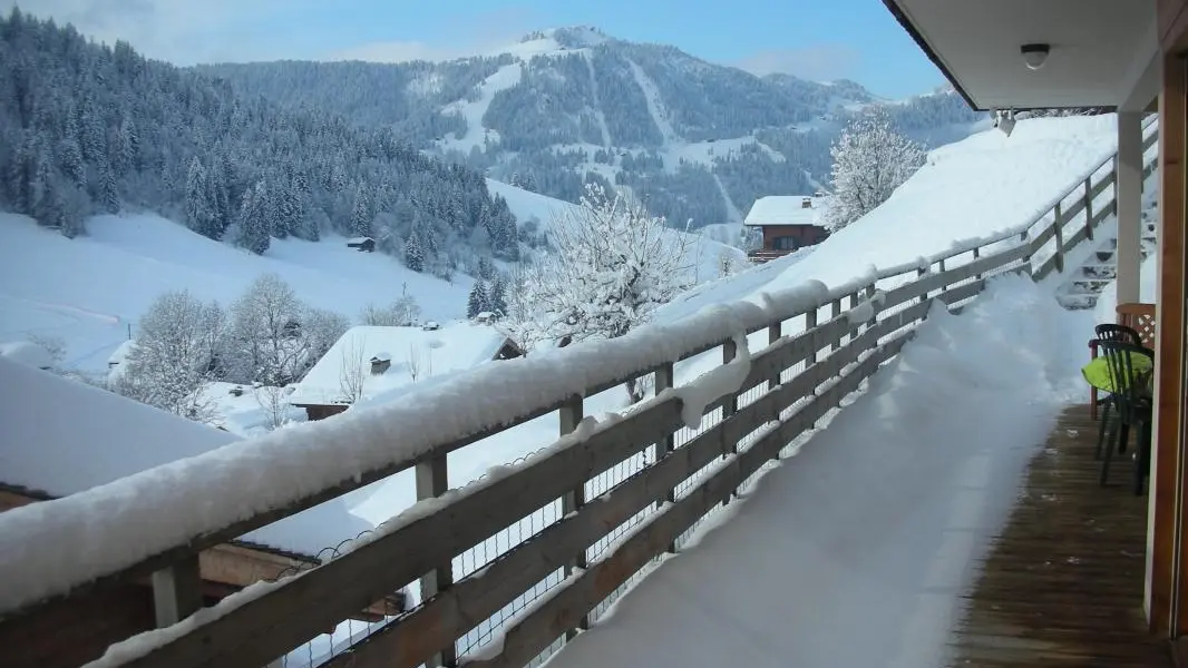 Vue depuis la terrasse sur le massif de beauregard.