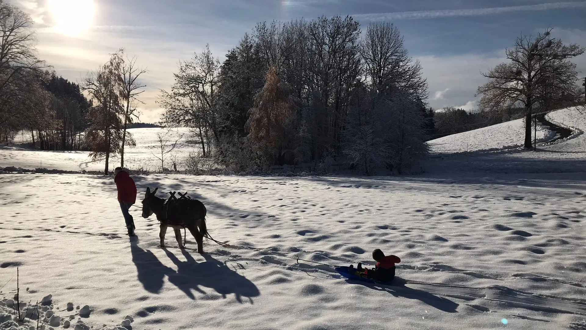Auberge de la Grange des Plans_Haut Valromey