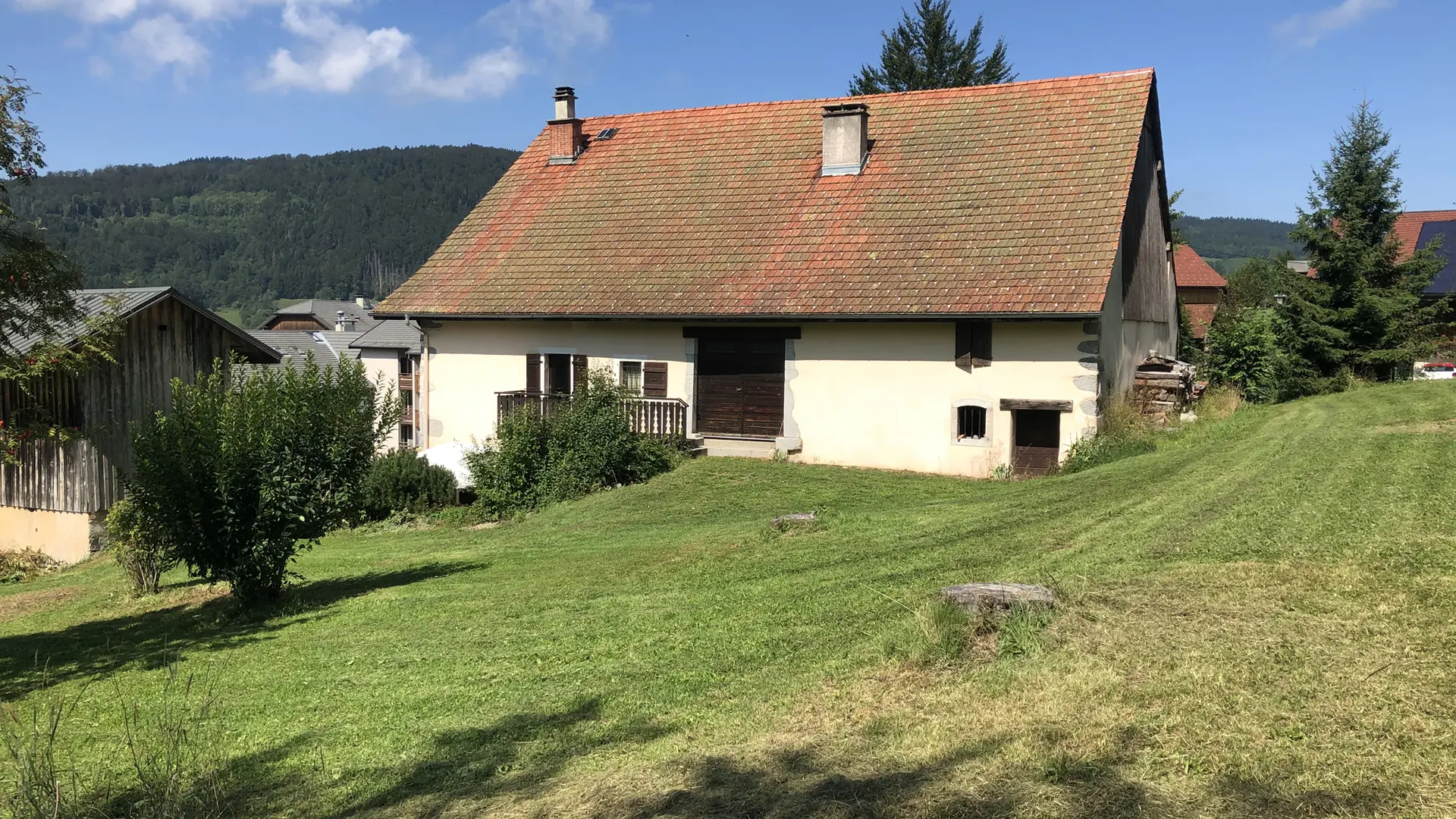 epervier_blanc_haberepoche