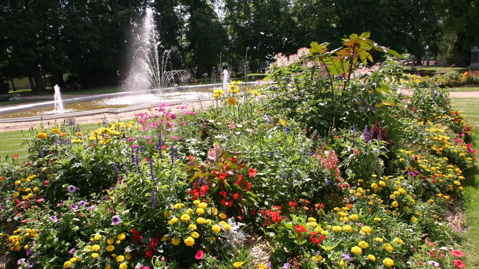 Parc municipal de Feurs