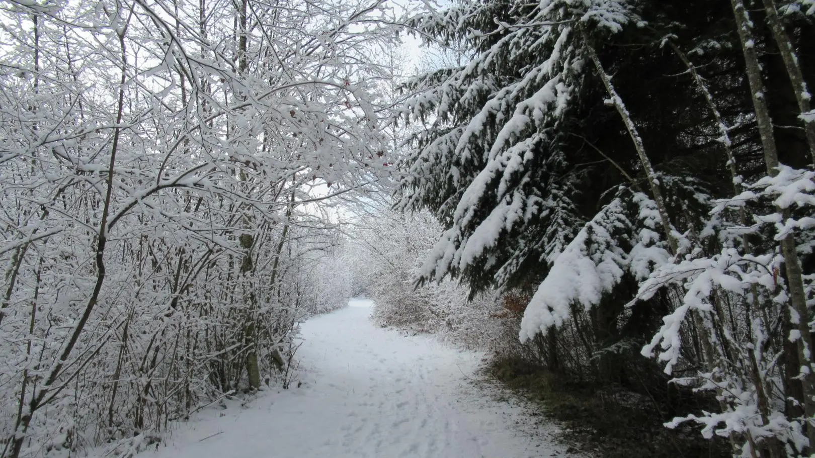 Envie d'aller s'y promener ? C'est à 500 m du gîte !