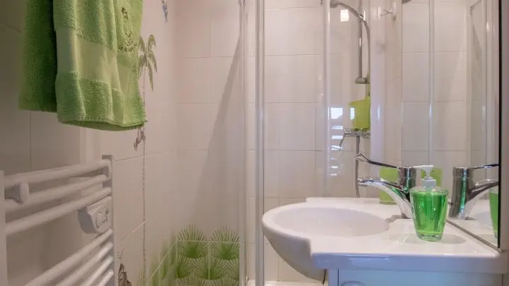 Petite salle d'eau au 2ème niveau