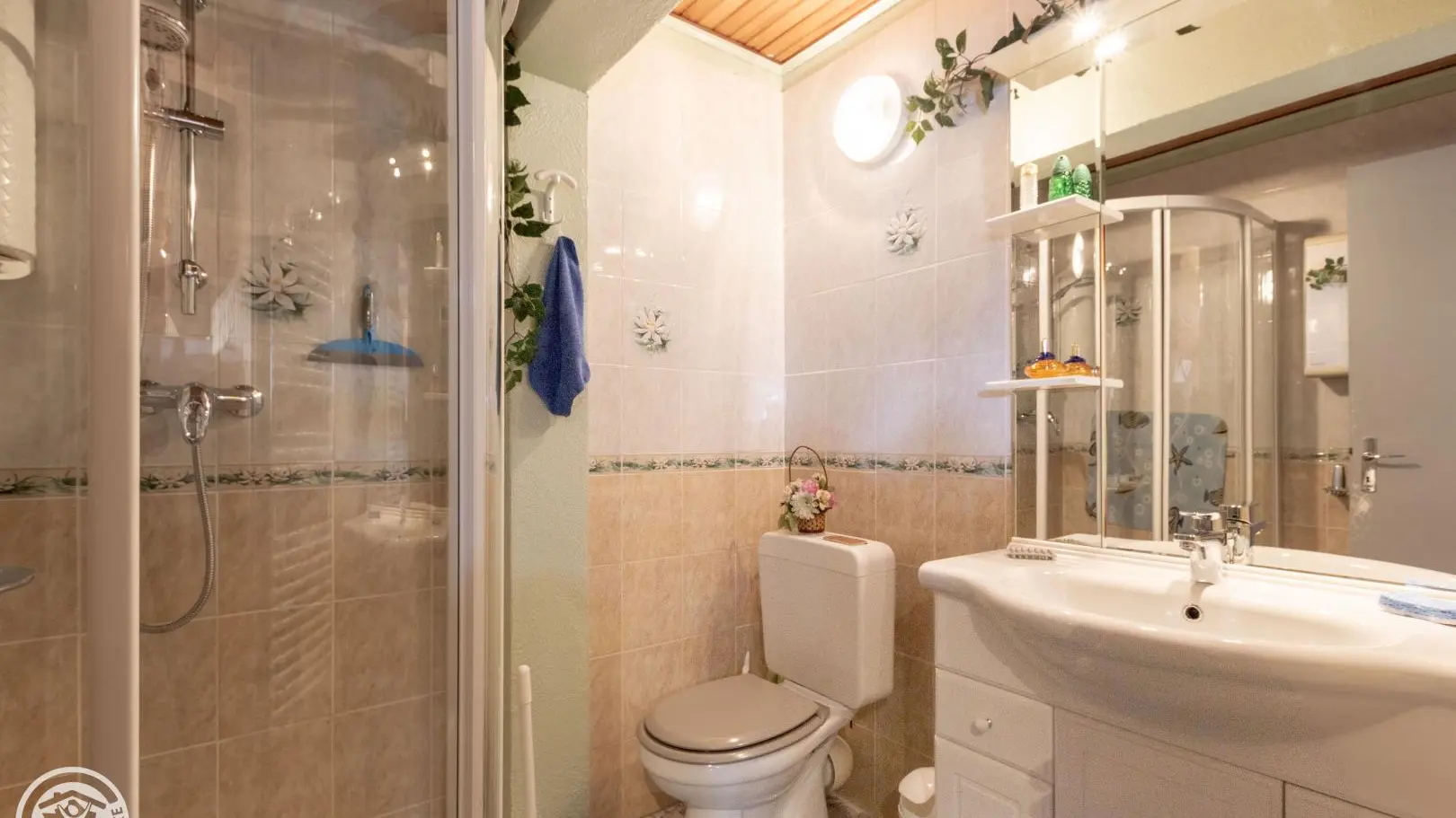 salle d'eau et toilettes