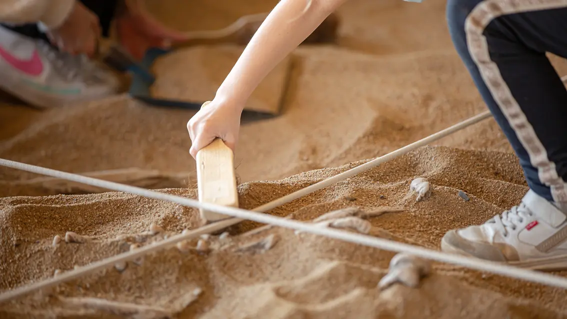 Paléopolis, la colline aux dinosaures_Gannat