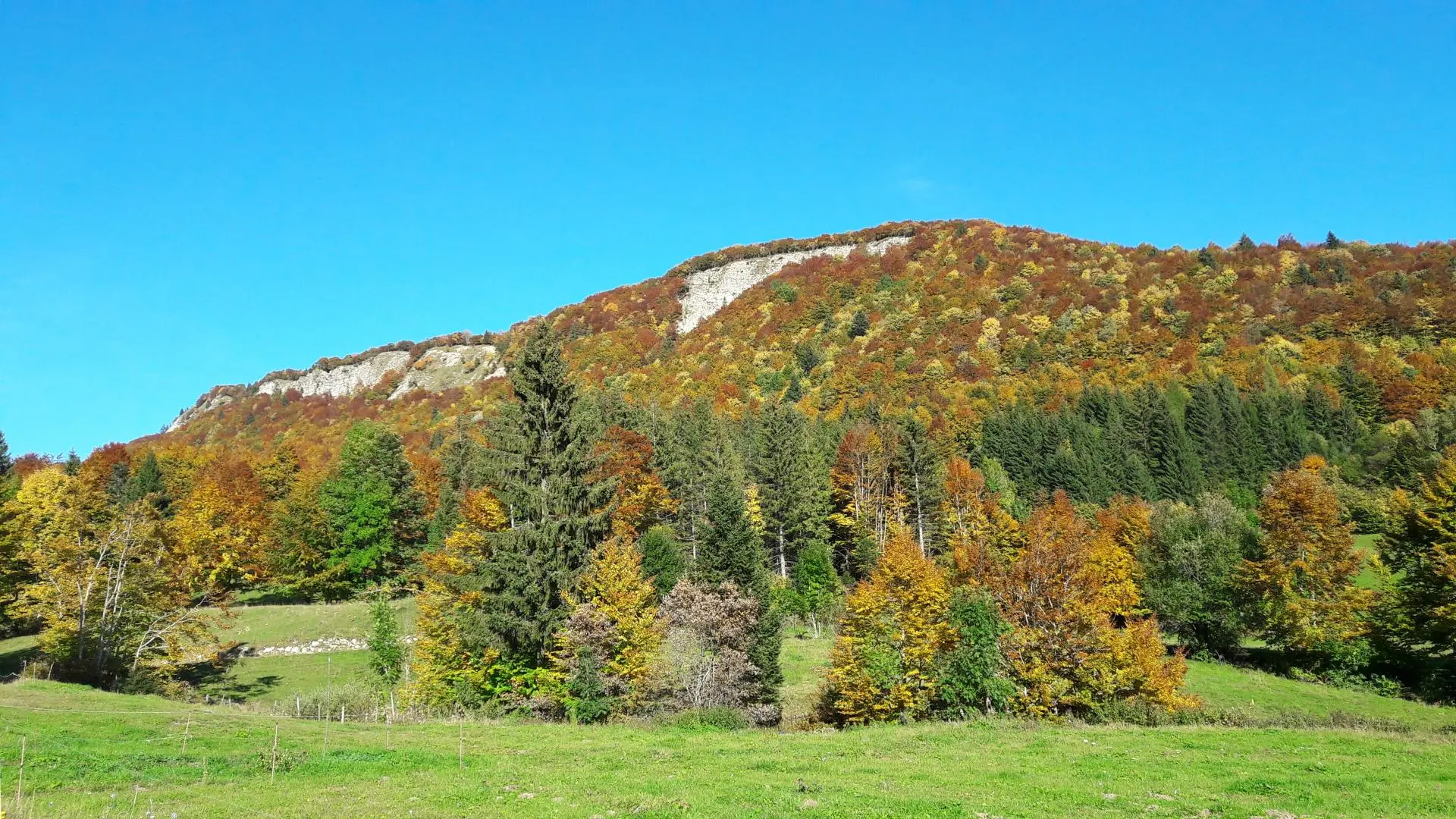 Vue depuis le gîte