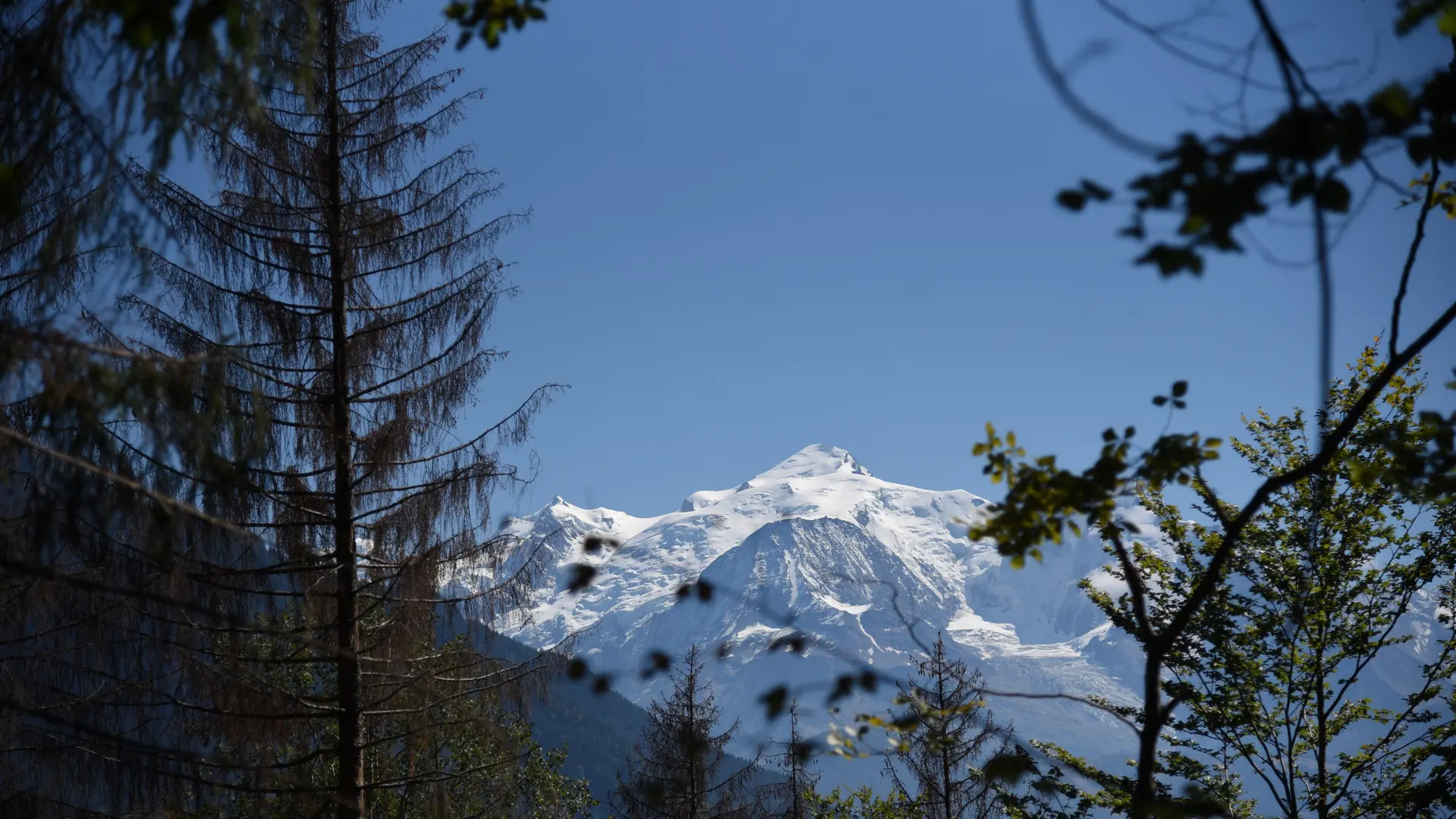 vue sur le Mont-Blanc depuis la Pierre à Voix