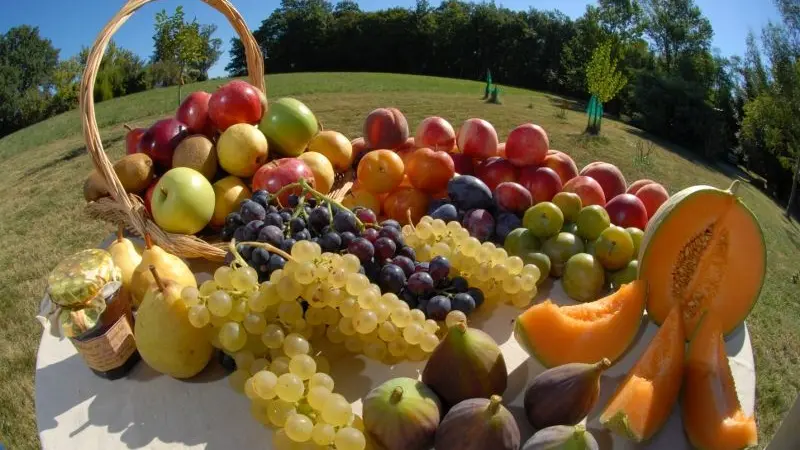 Les fruits de ma Région