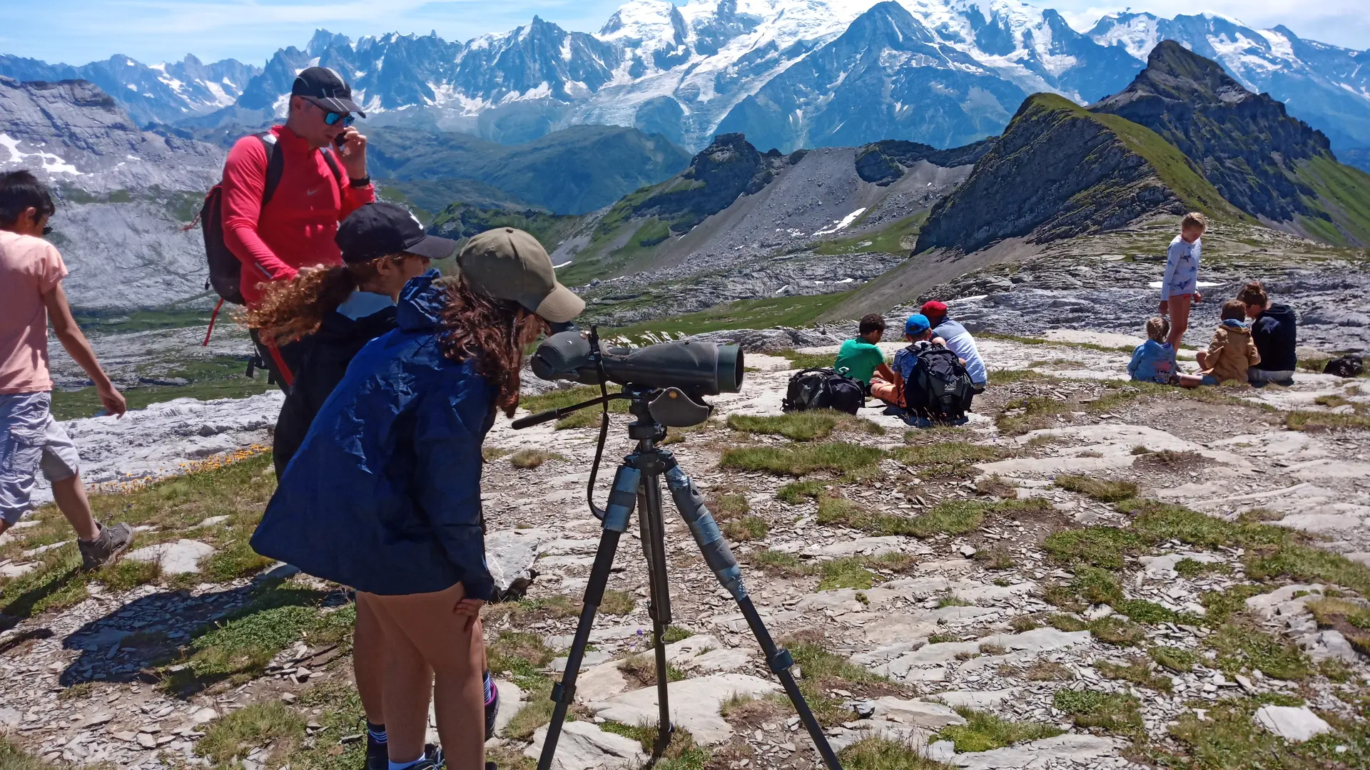 Observation de la faune
