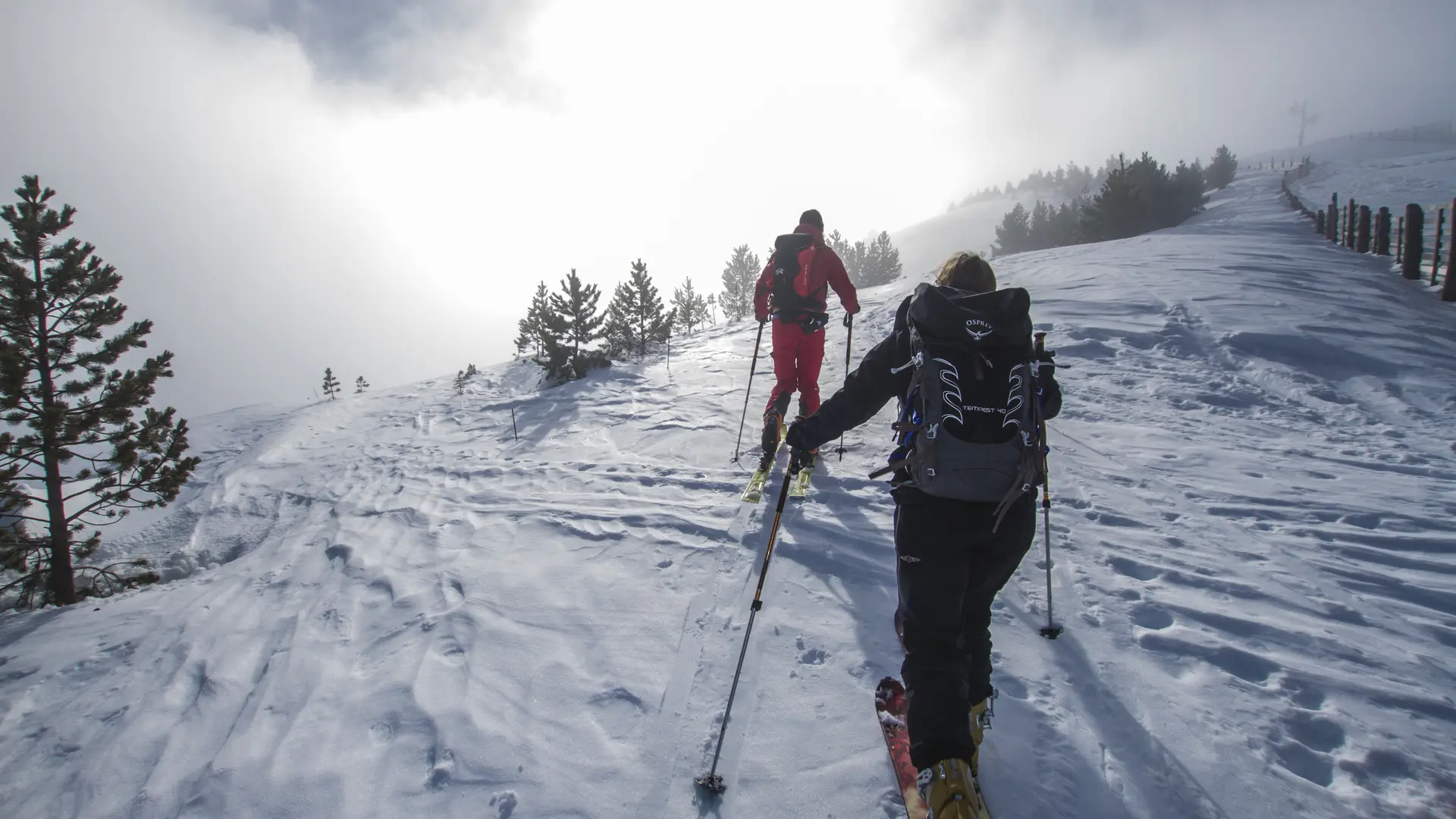 Ski de randonnée