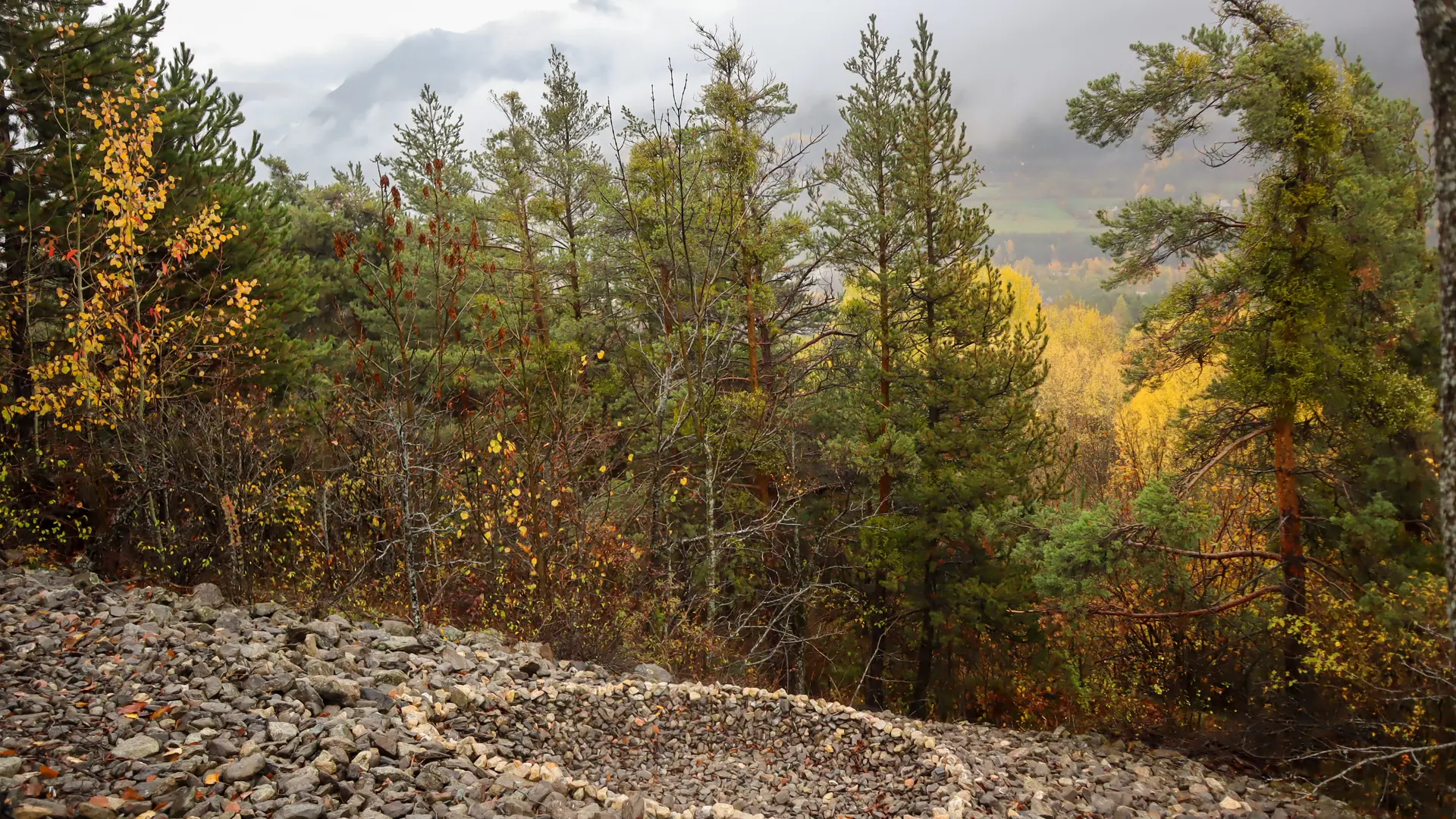 Sentier d'Art Puy-Saint-André