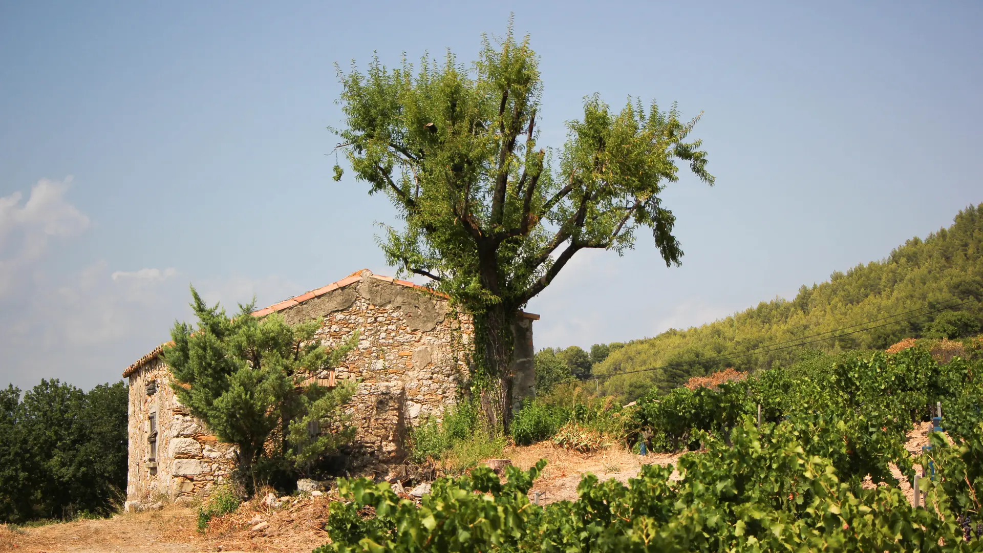 Domaine de l'Estagnol