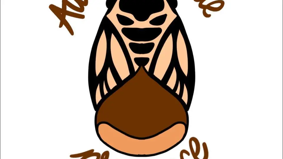 Aux saveurs de Provence à Collobrières