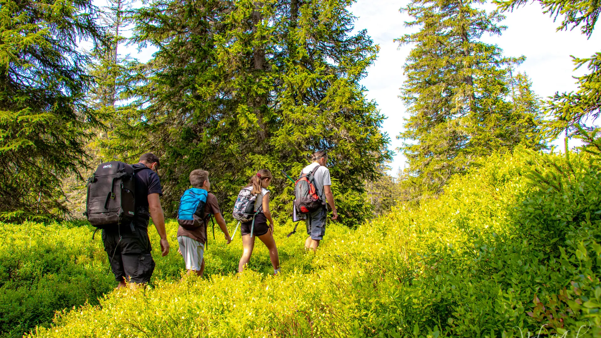 Visite guidée du sentier des Arpenières