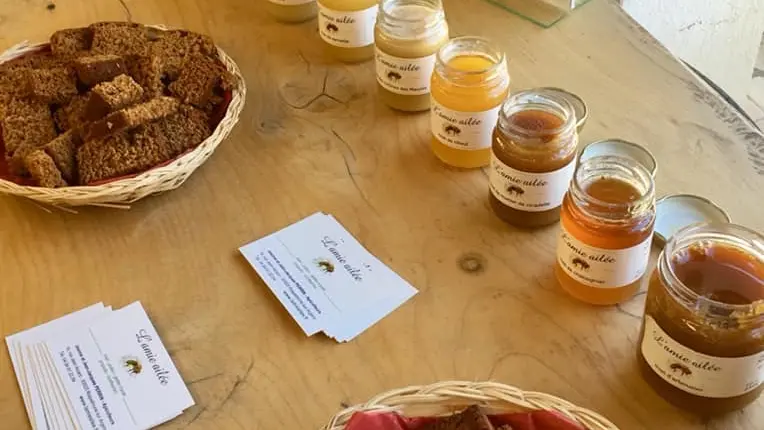 Dégustation de miels