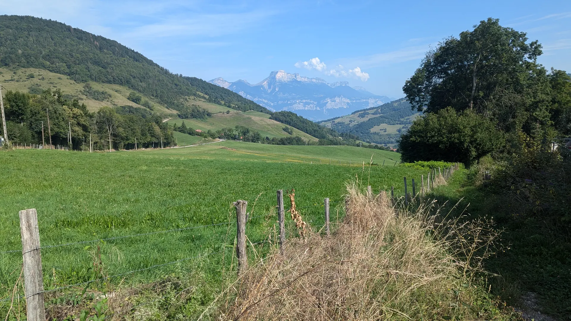 Pré sur le chemin de la descente vers le Rossin de Corps